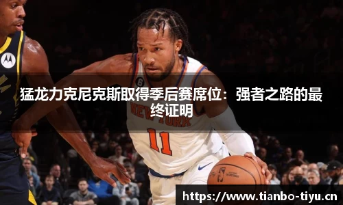 猛龙力克尼克斯取得季后赛席位:强者之路的最终证明