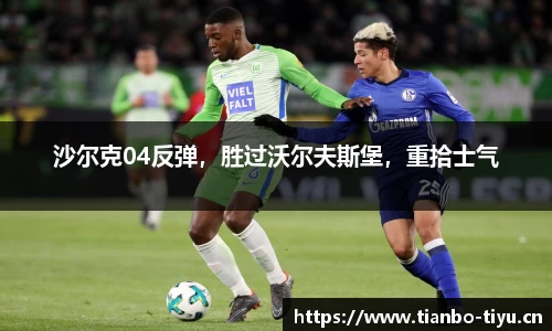 沙尔克04反弹,胜过沃尔夫斯堡,重拾士气