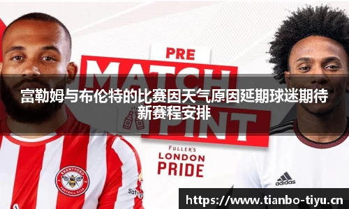 富勒姆与布伦特的比赛因天气原因延期球迷期待新赛程安排